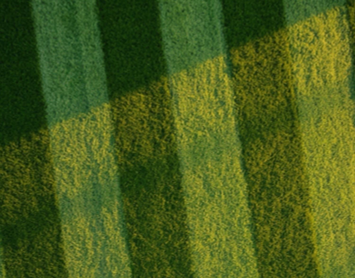 Top-down aerial view of a striped mowed lawn with a diagonal band of golden-hour sunlight crossing the stripes