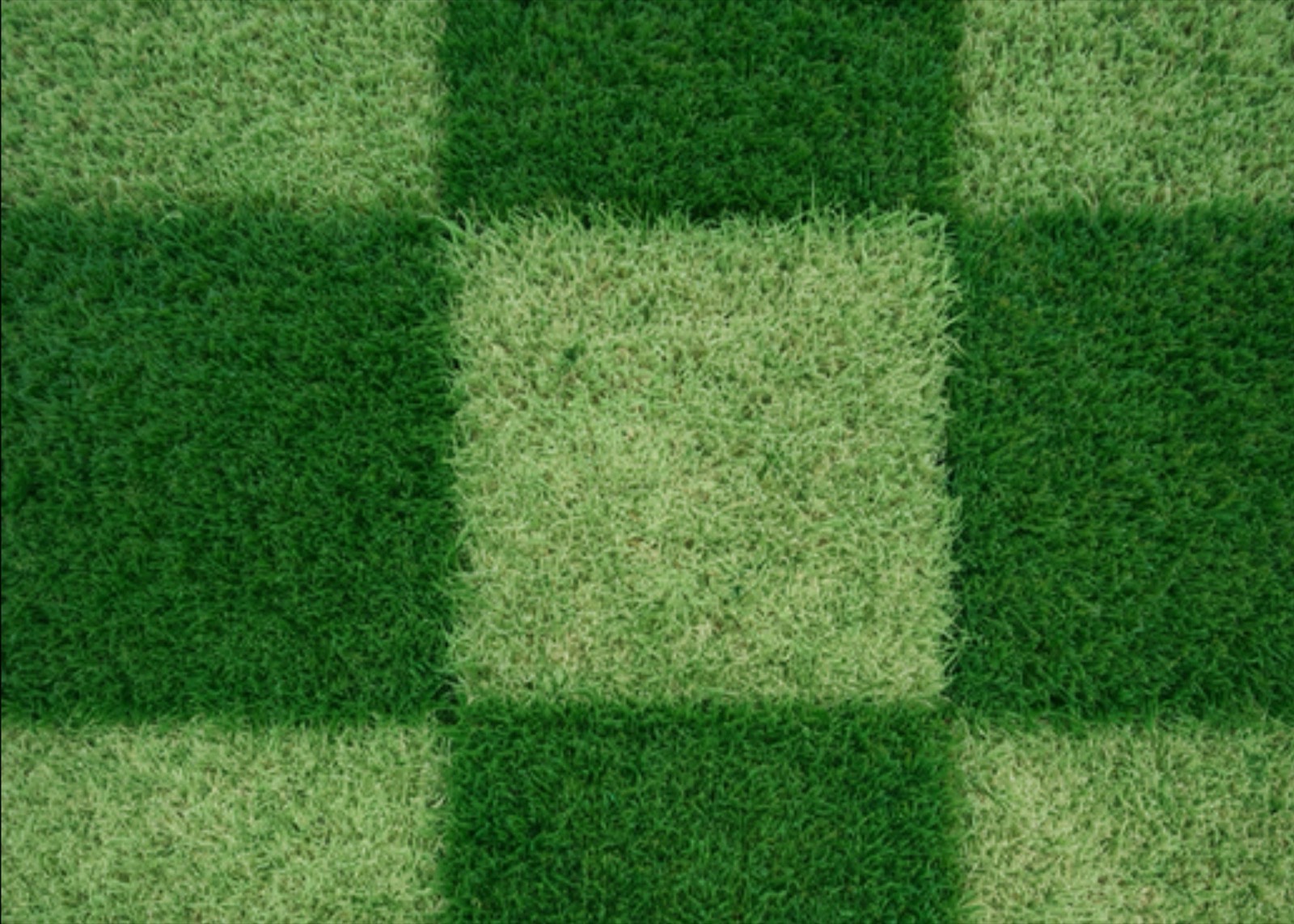 Close-up top-down photo of a mowed lawn with a crosscut checkerboard stripe pattern in alternating light and dark green squares